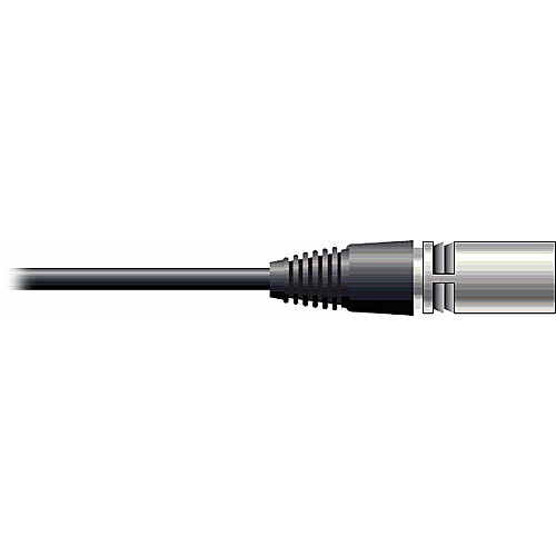 Pro Co Sound RAC Kable - XLR Male to Blunt End Patch Cable - 20'