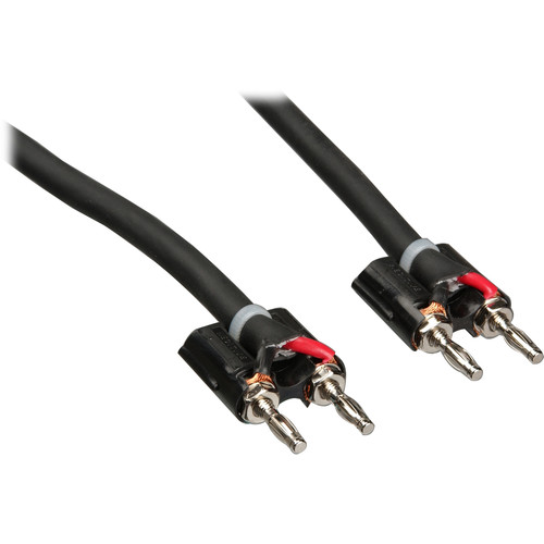 Pro Co Sound Lifelines PowerPlus Series Banana to Banana Speaker Cable - 10'
