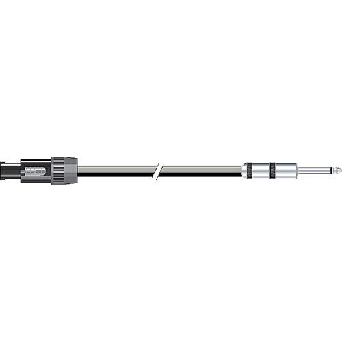 Pro Co Sound Excellines Speakon to 1/4
