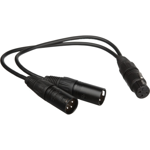 Remote Audio 3-Pin XLR Female to 2 XLR Male Y-Cable - 8