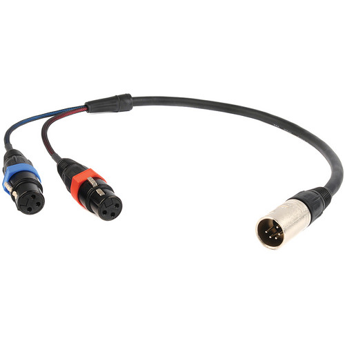 Remote Audio CAXSTEX5M 5Pin XLR Male to Dual 3Pin CAXSTEX5M