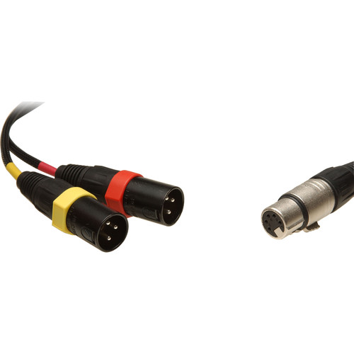 Remote Audio 5-Pin Stereo XLR Female to Dual XLR Male Y-Cable - 18