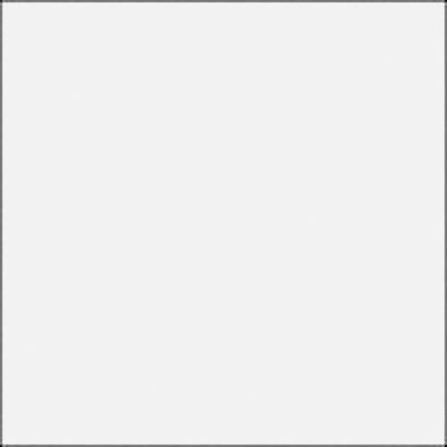 Rosco E-Colour #250 1/2 White Diffusion (21 x 24