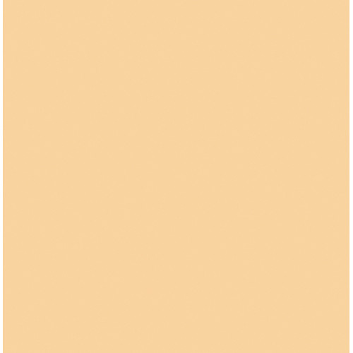 Rosco Cinegel #3442 1/2 Straw CTS Filter (20 x 24