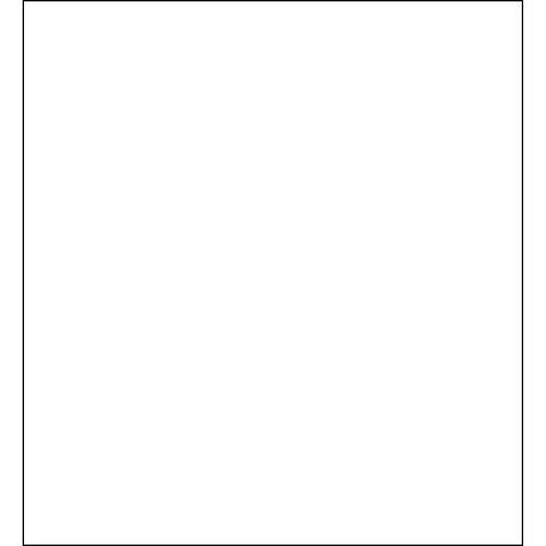 SAVAGE CL01-1020 WHITE PRO CLOTH BACKDRO