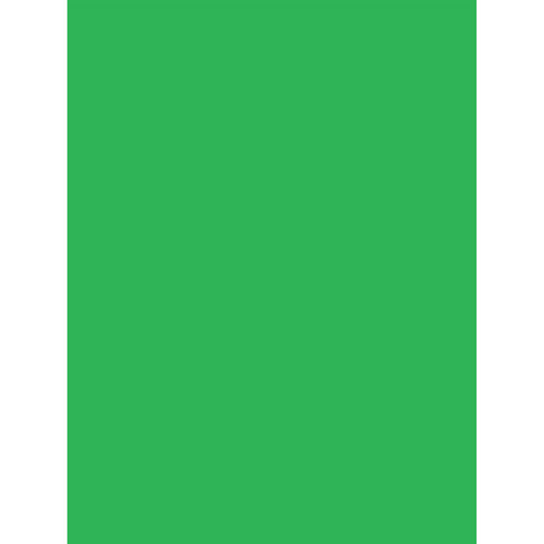 Savage Infinity Lint Free Pro Cloth Background (10 x 10' ProChroma Green)