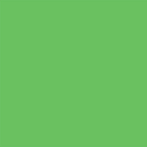 Savage Accent Solid Muslin Background (10 x 24' Chroma Green)