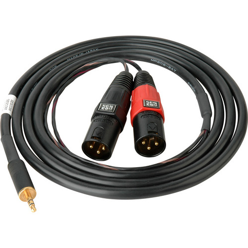 Sescom SES-IPOD-XLRM06 3.5mm Stereo to Dual XLR Male Mono Audio Cable (6')
