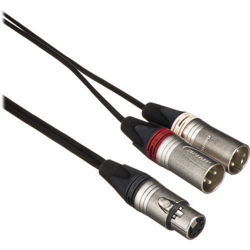 Sony 5-Pin to Dual 3-pin XLR Cable for E