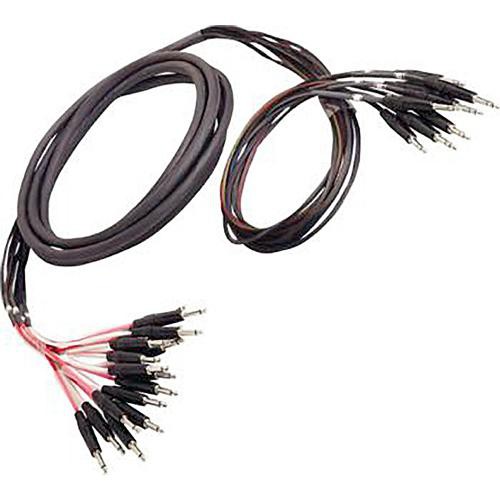Whirlwind Audio Insert Snake, 4 1/4" TRSM to 4 XLRF / 4 XLRM, 15