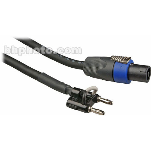 Whirlwind Speakon to Banana Speaker Cable (12 Gauge) - 100'