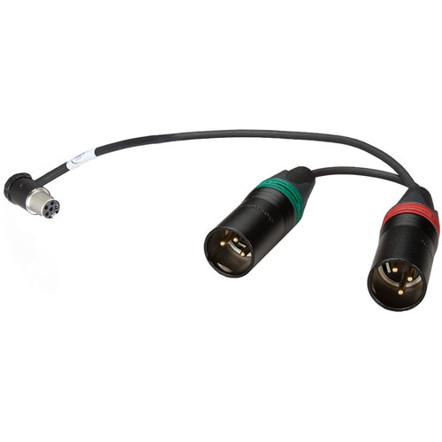 Ambient Recording Receiver Slot V-Mount Chassis with Double 3-Pin XLR Male Connection Cable (13.8