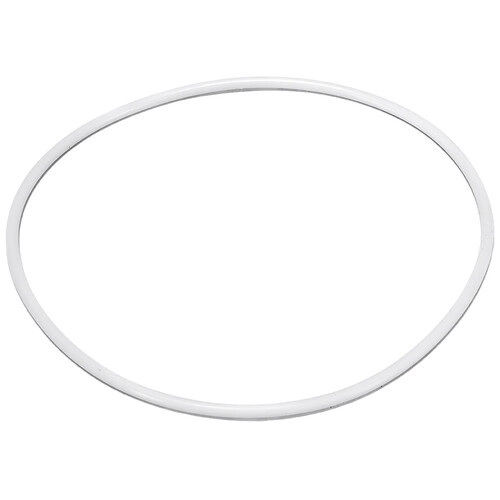 AOI Main Seal O-Ring for UH-EM5 III Housing