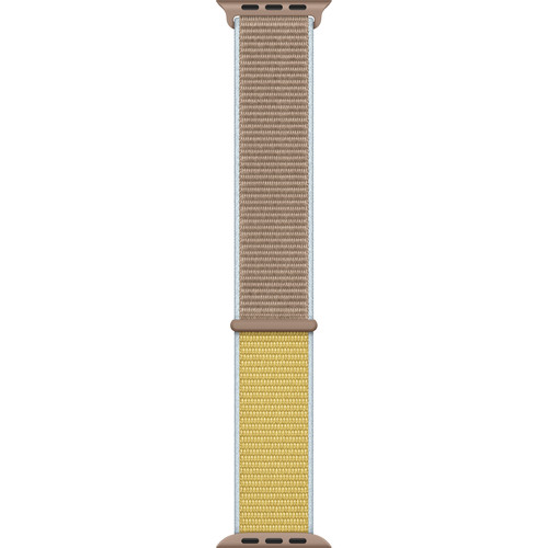 sport loop seashell