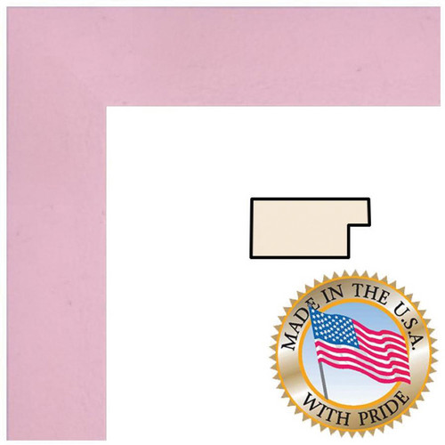 ART TO FRAMES 4120 Baby Pink Stain on Beech Photo Frame (16 x 24