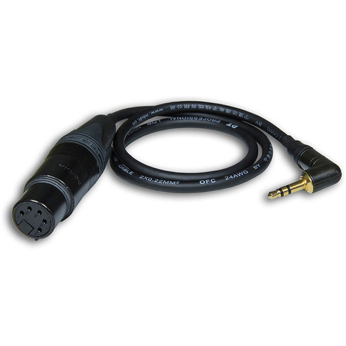 Beachtek BT-MINI XLR5F to Right-Angle 3.5mm TRS Adapter Cable (17.7