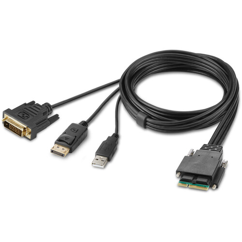 Belkin Modular DVI and DP Dual-Head Host