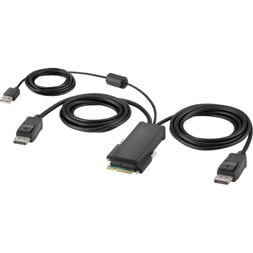 Belkin Modular DisplayPort Dual-Head Host Cable (6')