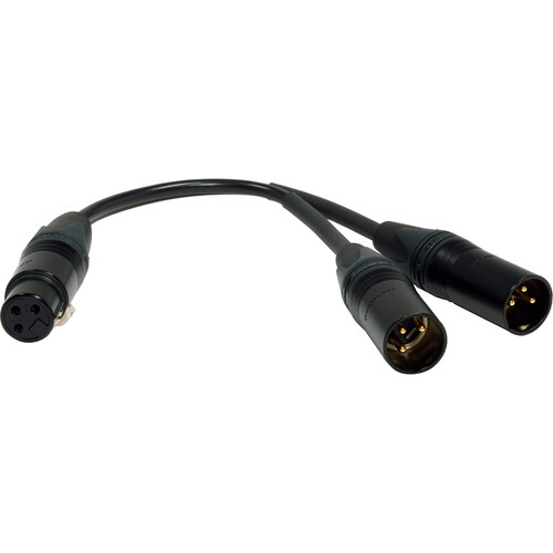 Benchmark 3-Pin XLR Female to Dual 3-Pin XLR Male 