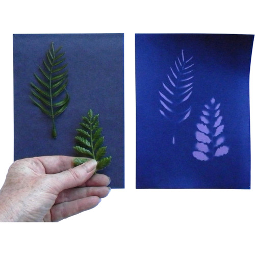 Cyanotype Store Cyanotype Paper (5 x 7