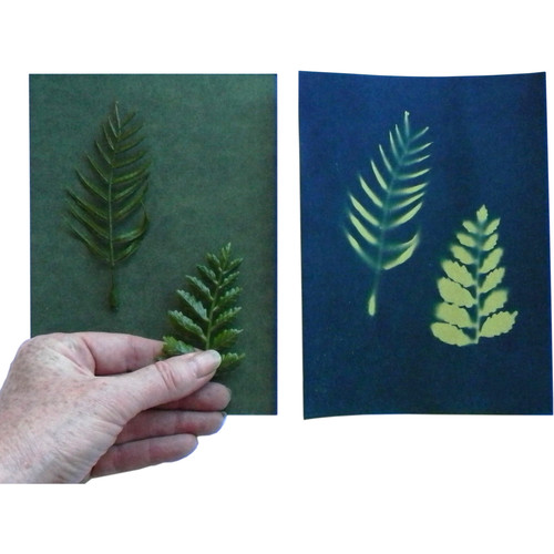 Cyanotype Store Cyanotype Paper (5 x 7
