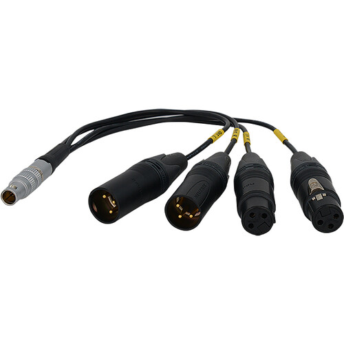 Bolin Technology BLA-10 10-Pin LEMO Connector to XLR Breakout Audio Cable (10.5