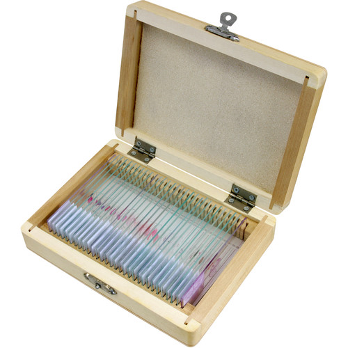 BRESSER 30-Piece Prepared Microscope Slides Set (Histology Wooden Box)