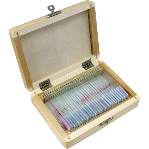 BRESSER 30-Piece Prepared Microscope Slides Set (Animals Wooden Box)