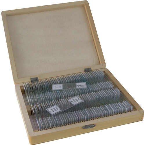 BRESSER 100-Piece Prepared Microscope Slides Set (Biology Wooden Box)