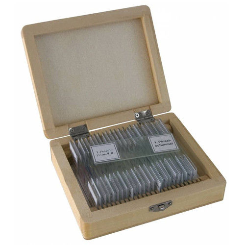 BRESSER Prepared Slides Set (25-Pack Wooden Box)