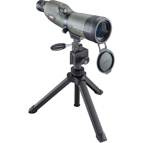 Bushnell