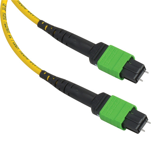 Camplex MTP Elite APC Male 12-Fiber Single-Mode OFNP Round-Jacket Cable (6')