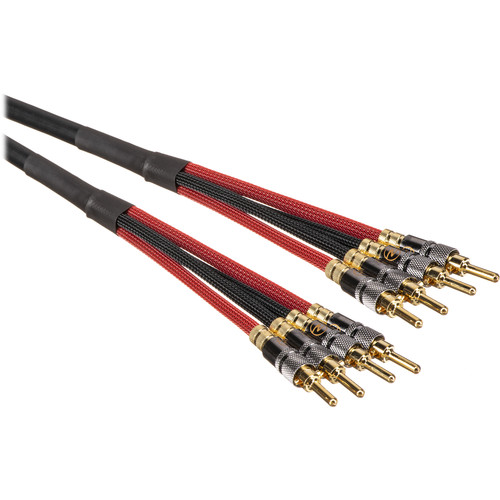 Canare 4S11 Speaker Cable 4 Banana to 4 Banana (25')