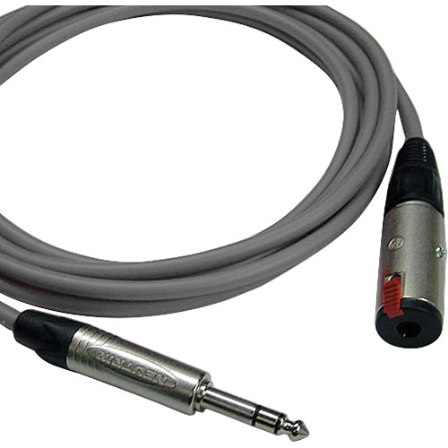 Canare Starquad TRSM-TRSF Extension Cable (Grey 1')