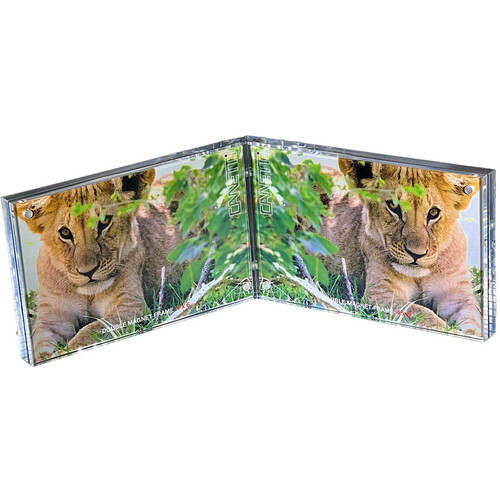 Canetti Design Group Double Magnet 4 x 6