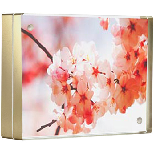 Canetti Design Group Color Edge Magnet Frame (Gold 3.5 x 5