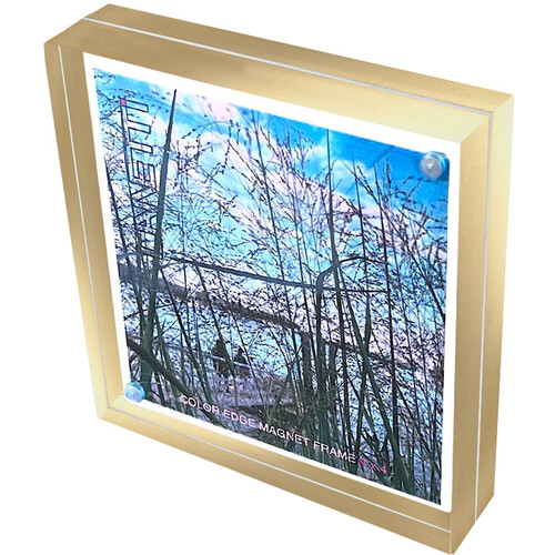 Canetti Design Group Color Edge Magnet Frame (Gold 4 x 4