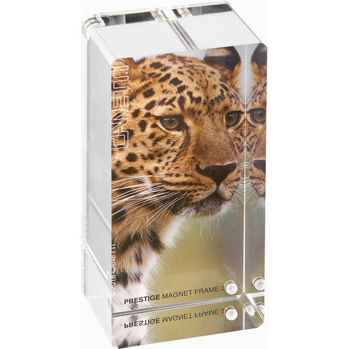 Canetti Design Group Prestige Magnet Frame (2 x 4