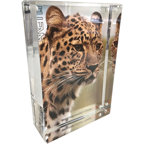Canetti Design Group Prestige Magnet Frame (4 x 6