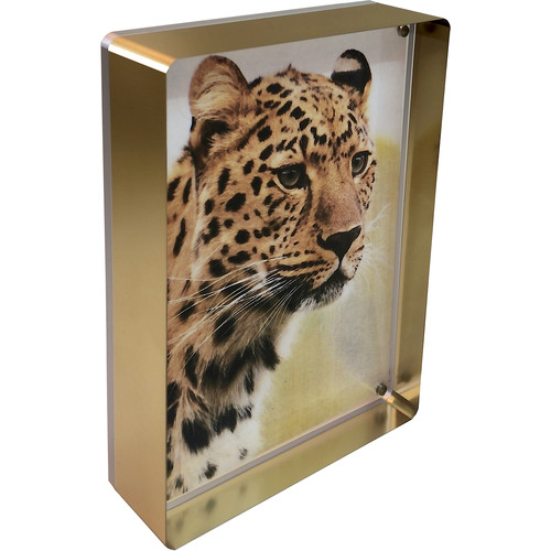 Canetti Design Group Prestige Magnet Frame (4 x 6