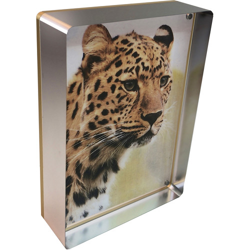 Canetti Design Group Prestige Magnet Frame (5 x 7