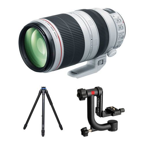 Canon EF 100400mm f/4.55.6L IS II Lens Wildlife Kit B&H Photo