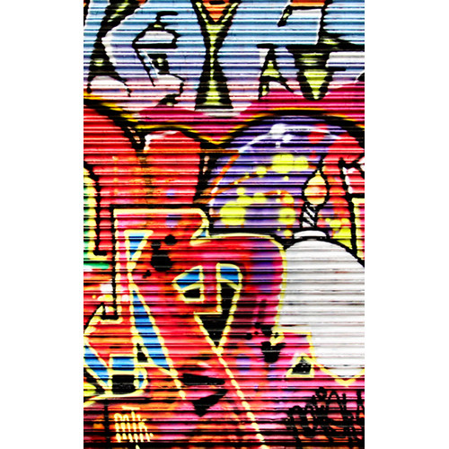 Click Props Backdrops Vinyl Backdrop (Shutter Graffiti 2 5 x 8')
