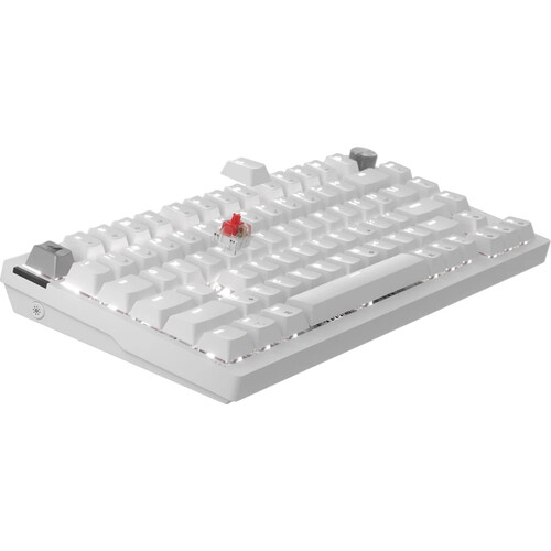 CORSAIR K65 PLUS Wireless Gaming Keyboard (Frost White)