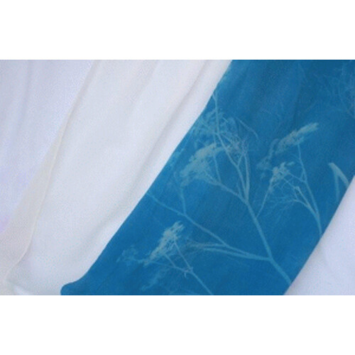 Cyanotype Store Silk Cyanotype Scarf (9 x 54