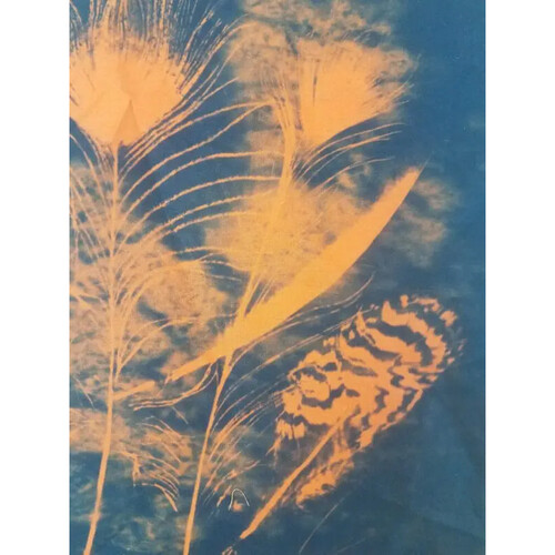 Cyanotype Store Cyanotype Cotton 