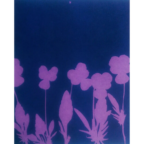 Cyanotype Store Cyanotype Cotton 