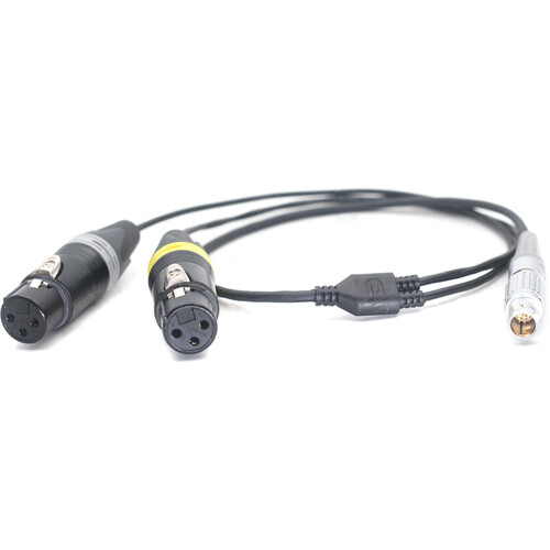 DigitalFoto Solution Limited 10-Pin to Dual 3-Pin Female XLR Audio Cable for Atomos Shogun Inferno Monitor (11.8