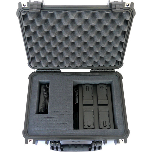Dolgin Engineering On-The-Go TC400-DSLR-C Four Position Battery Charger Field Kit with TDM for Canon LP-E6 Batteries