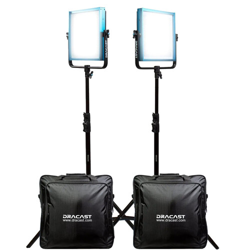 Dracast Pro Series LED1000 Daylight LED Light Panel (Gold Mount Interview 2-Light Kit)